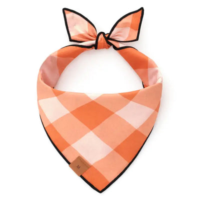 Jack-O-Lanterns Reversible Bandana