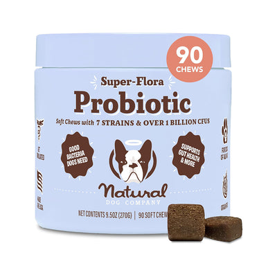 Super-Flora Probiotic Supplement 90ct