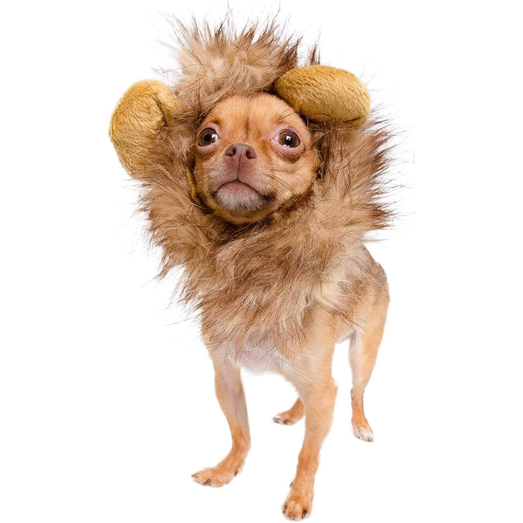 Lion Mane with Ears Small Dog Costume