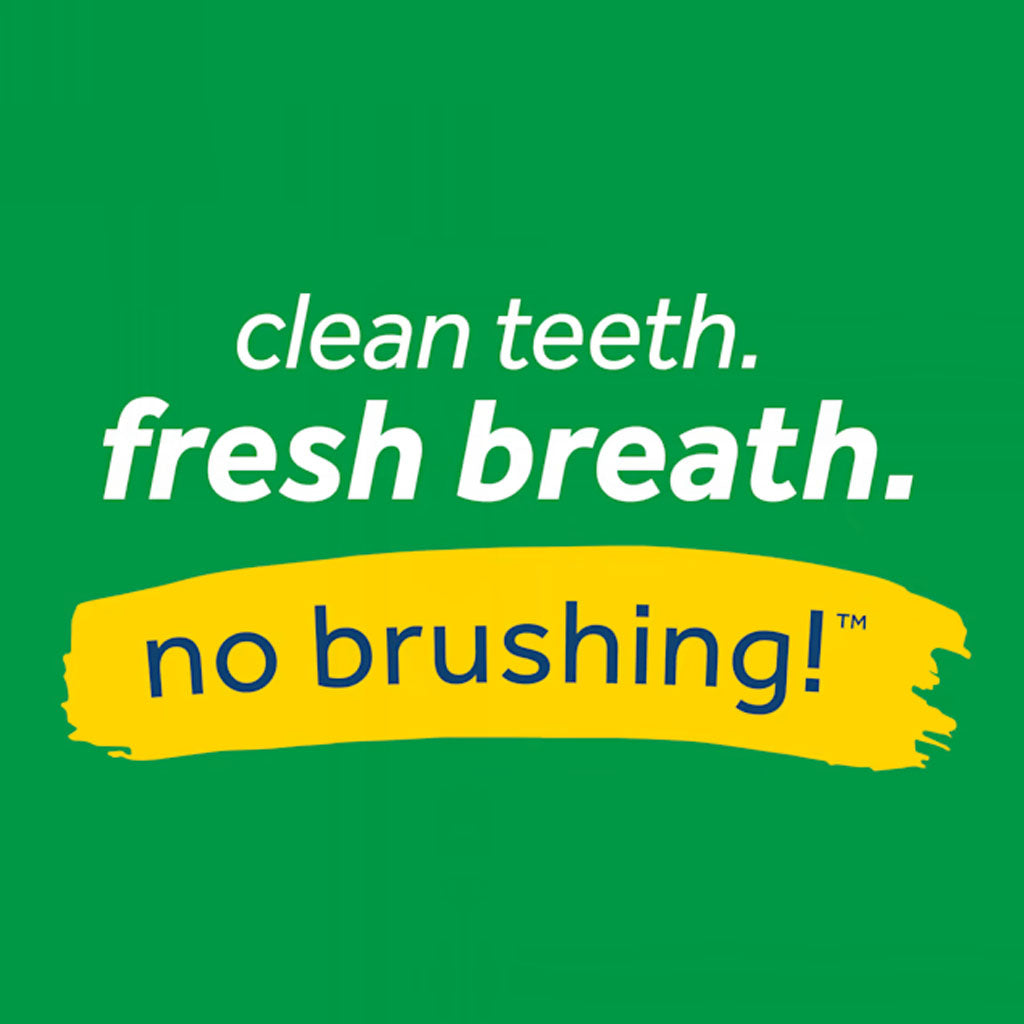 Fresh Breath Oral Care Spray 4oz