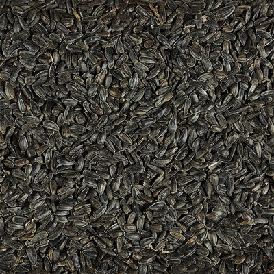 Black Oil Sunflower Bird Seed