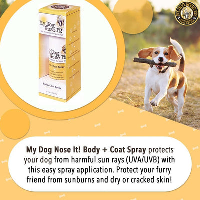 Sun Protection Coat & Body Spray 4oz