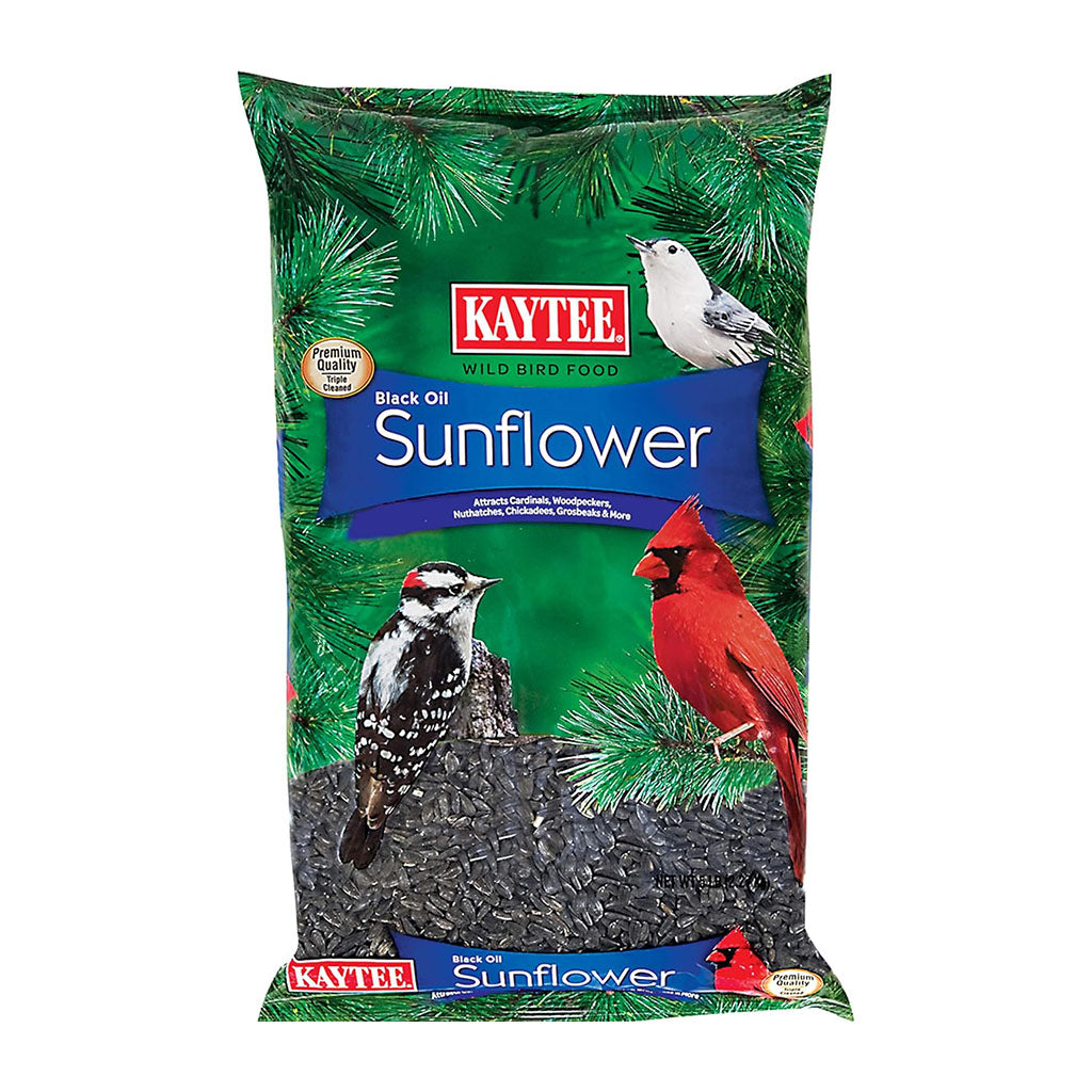 Black Oil Sunflower Bird Seed