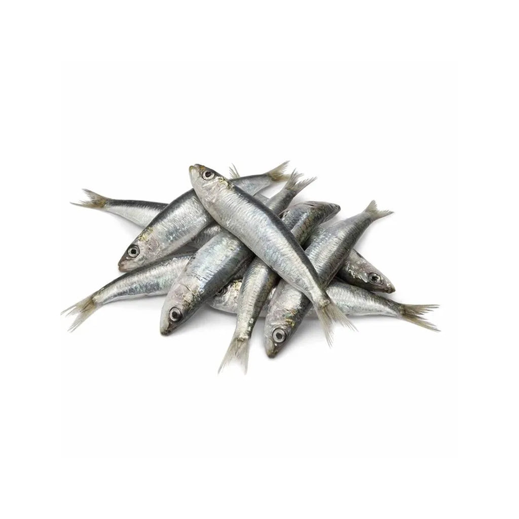 Frozen Whole Sardines 1lb