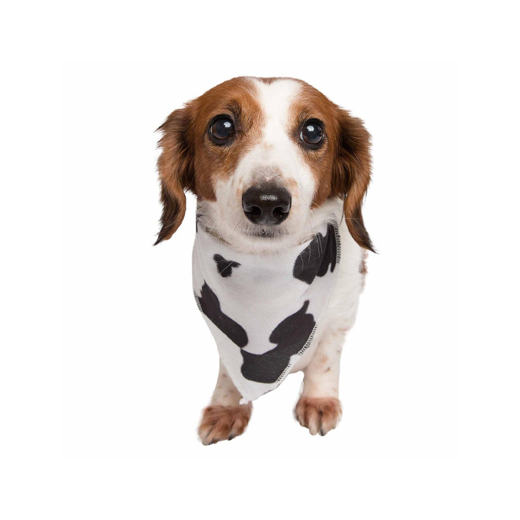 Cow Print Pet Bandana