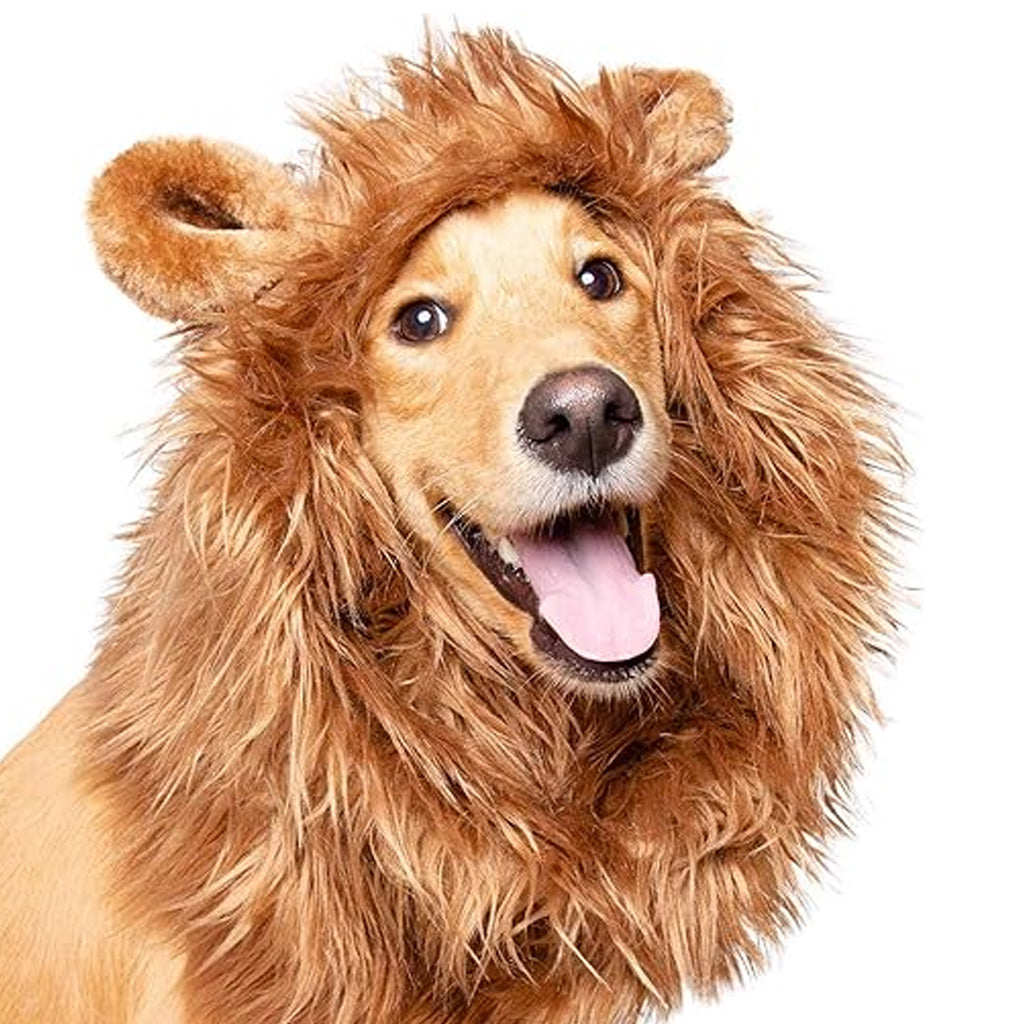 Lion Mane Dog Costume