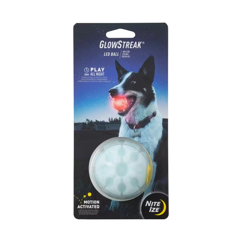 GlowStreak Wild LED Ball-Disc-O Dog Toy