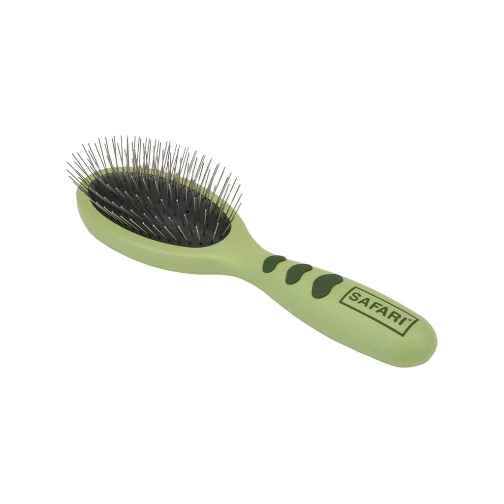 Large Wire Pin Brush for Dogs