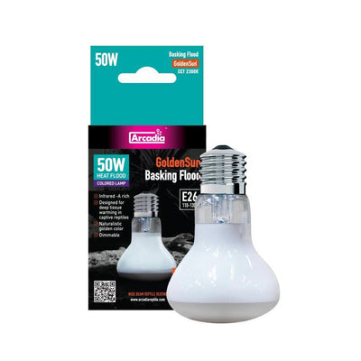 Basking Flood Bulb