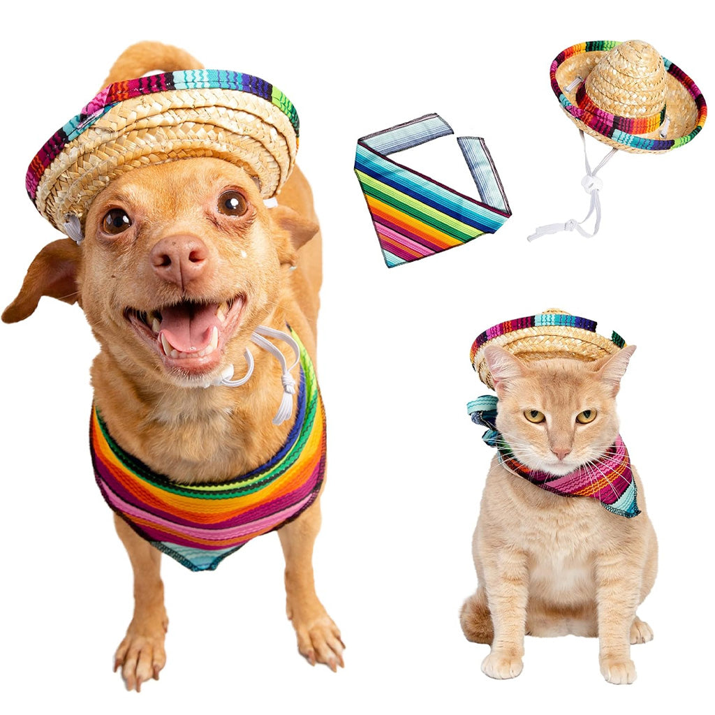 Sombrero and Serape Dog Costume