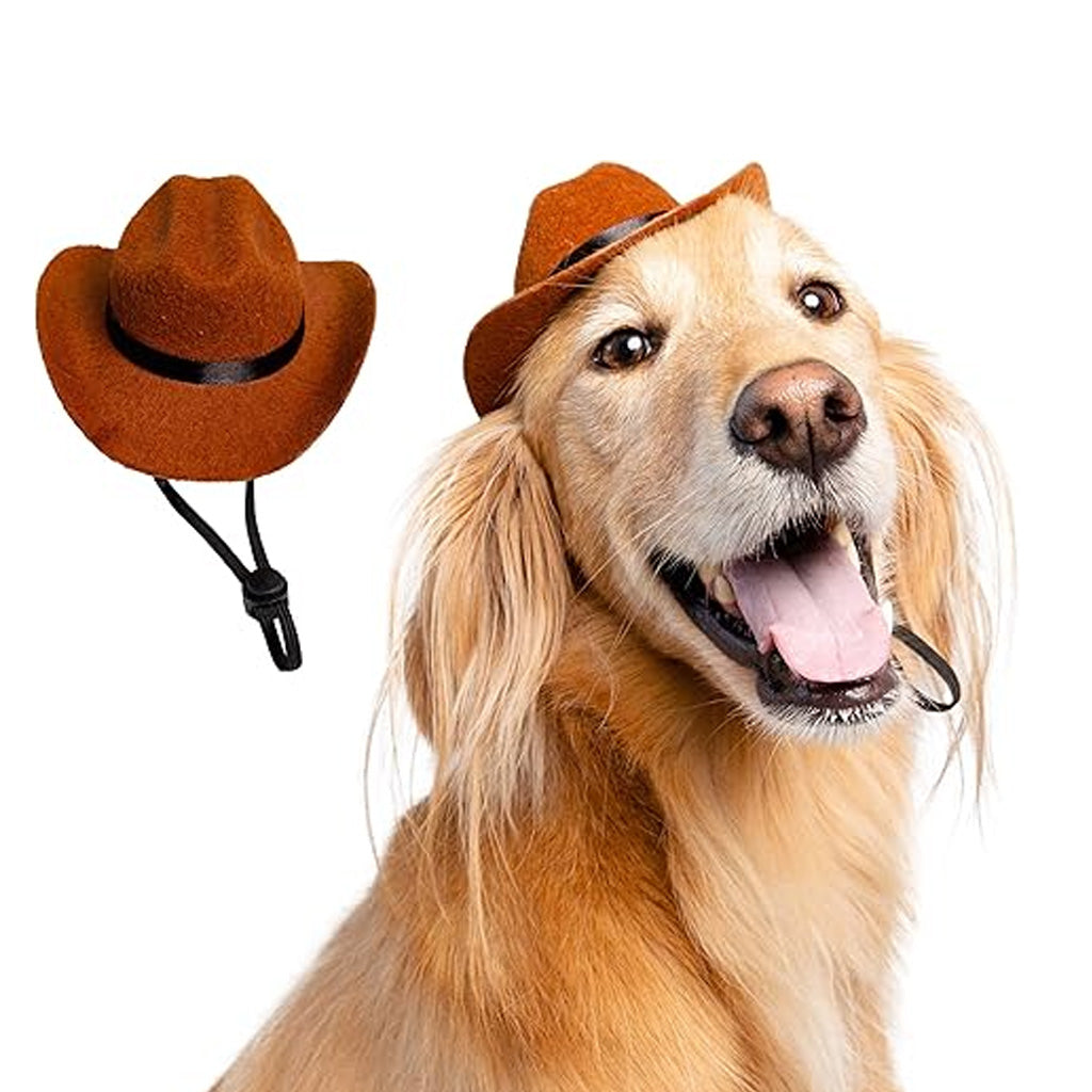 Cowboy Hat Costume