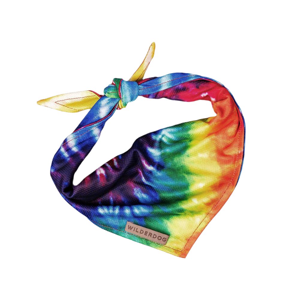 Tiedye Bandana