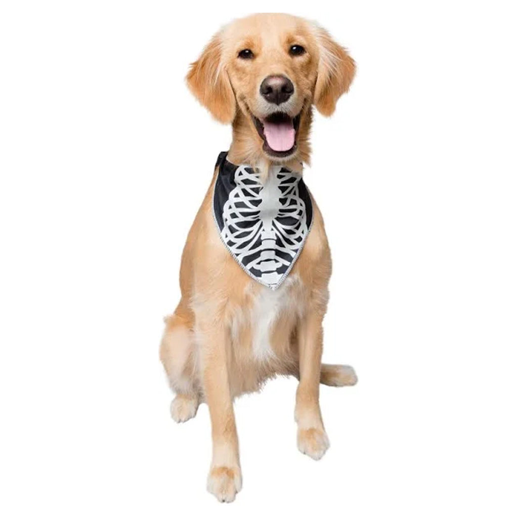 Glow-In-The-Dark Skeleton Dog Bandana