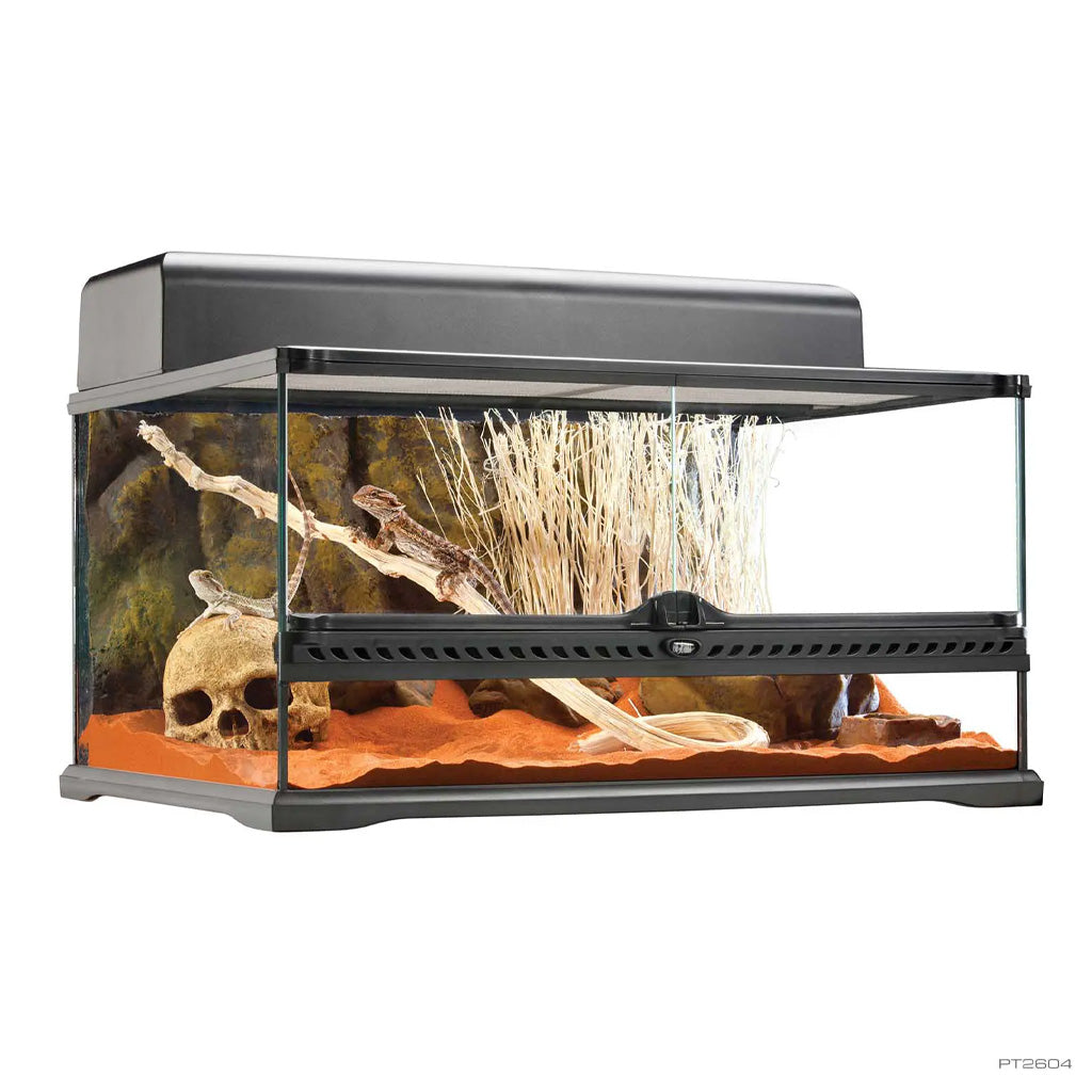 Natural Glass Terrarium Low Medium 24x18x12