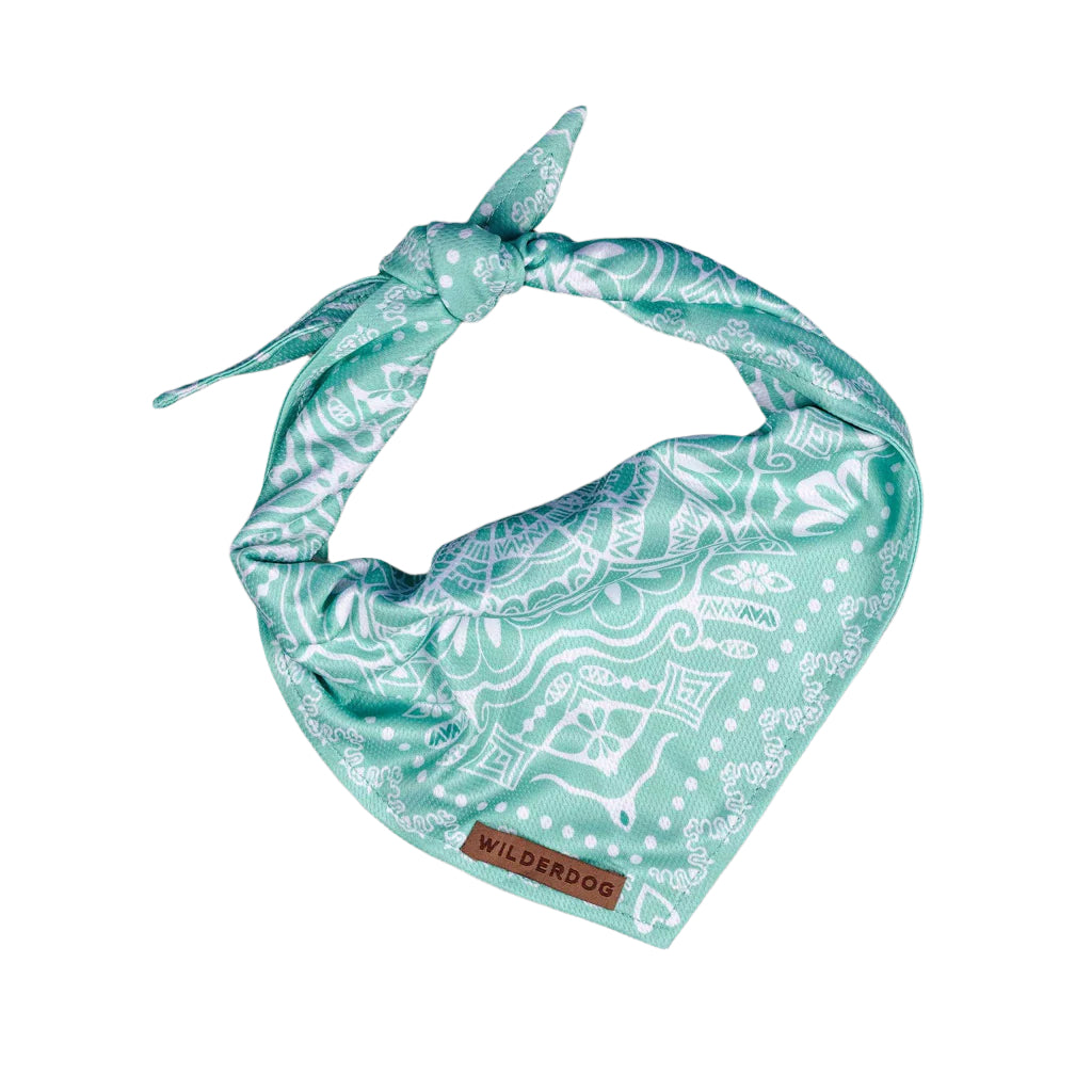 Agave Bandana