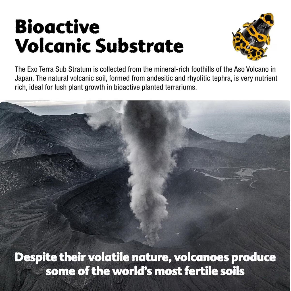 Bioactive Volcanic Reptile Substratum