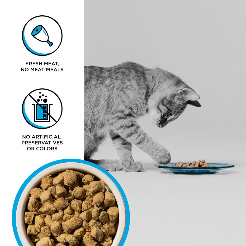 Rawbble Freeze-Dried Chicken & Salmon Recipe for Cats