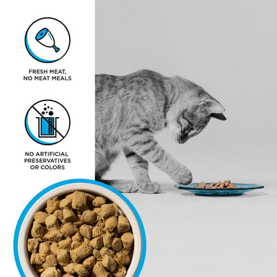 Rawbble Freeze-Dried Chicken & Salmon Recipe for Cats