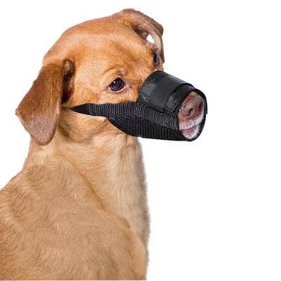Nylon Muzzle
