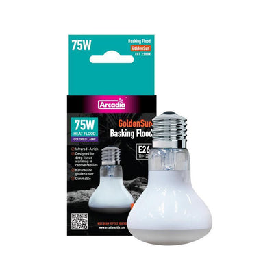 Basking Flood Bulb