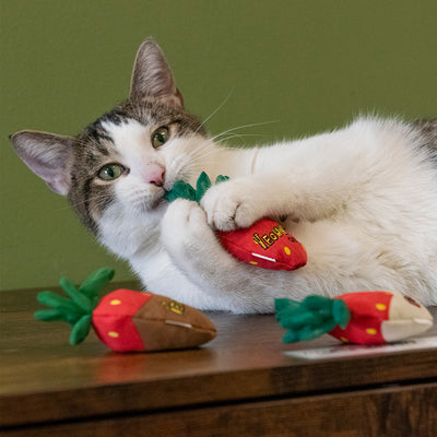 Strawberries 3 Pack Catnip Toys