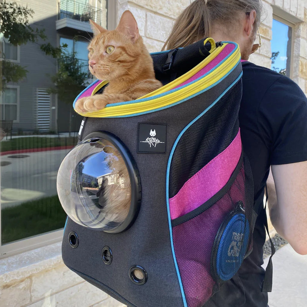 Stray x Travel Cat Backpack - Limited-Edition