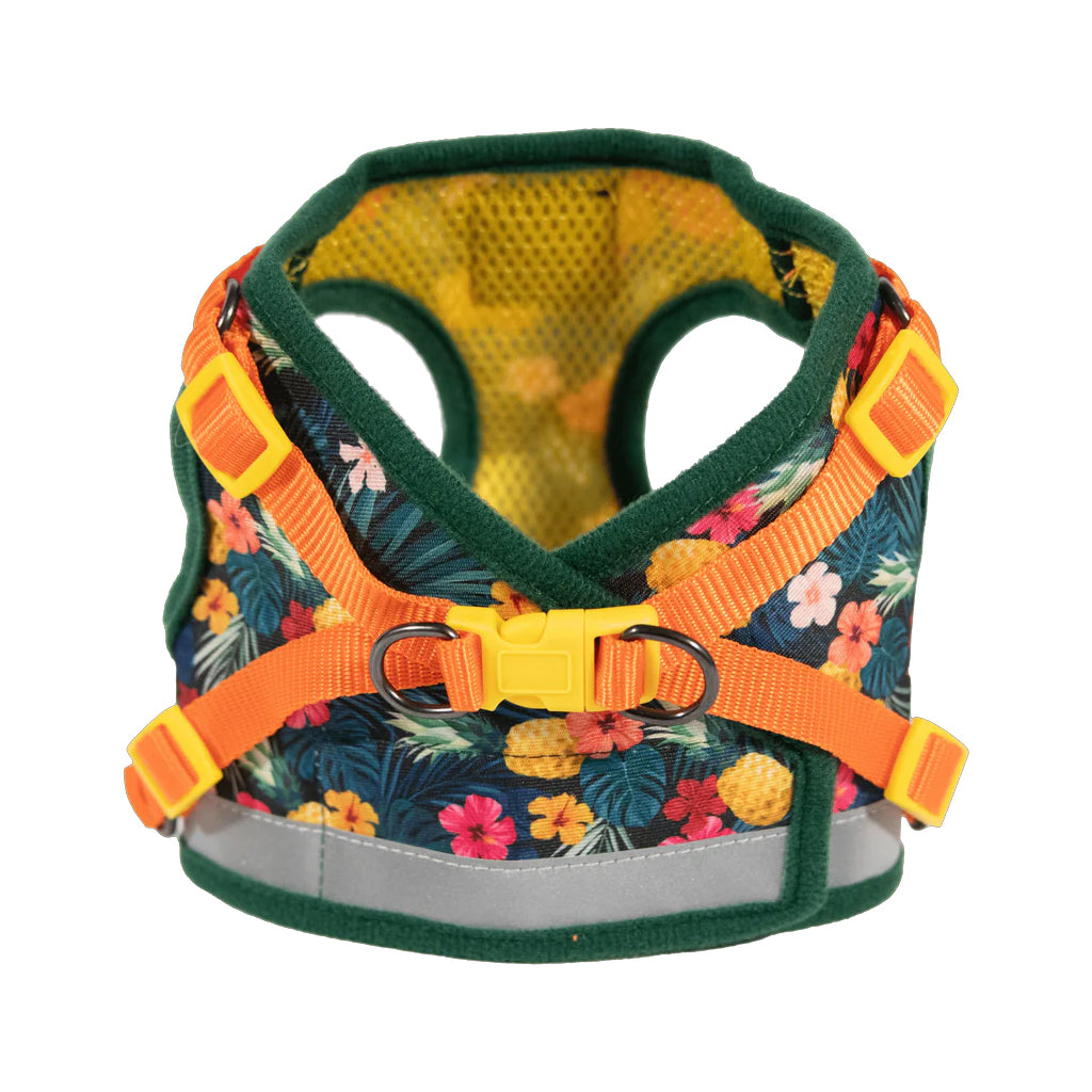 Reflective Cat & Kitten Harness w/ Leash - Hawaiian Shirt