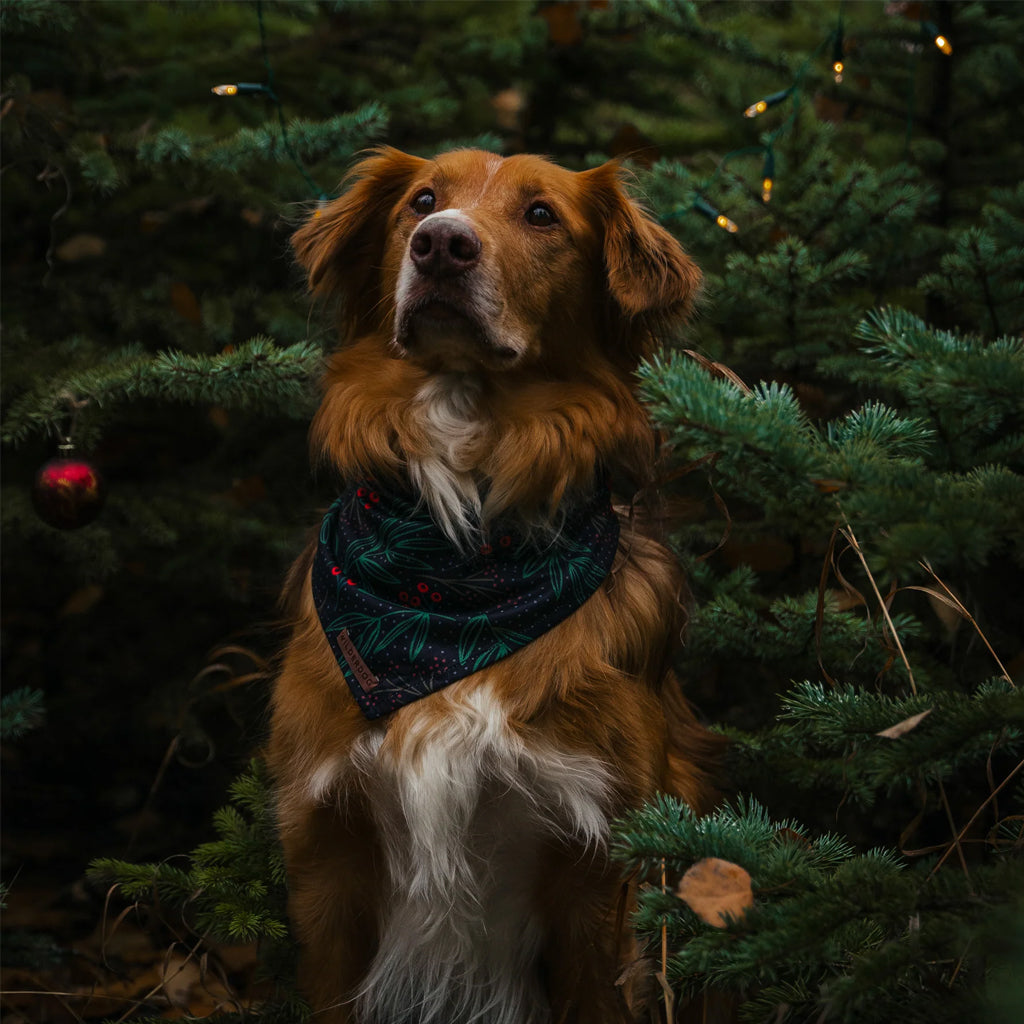 Holly Bandana