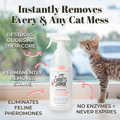 Professional Strength Urine & Odor Destroyer for Cats 35oz