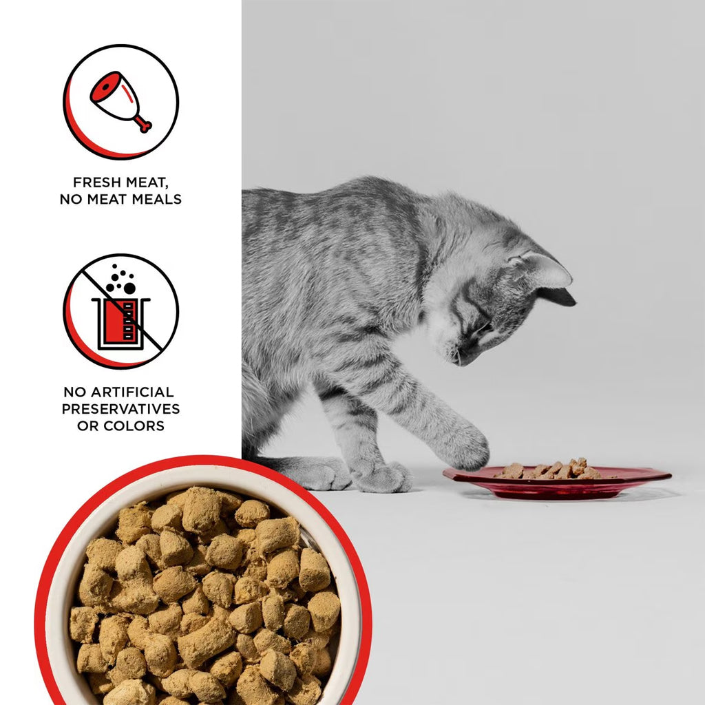 Rawbble Freeze-Dried Beef Recipe for Cats