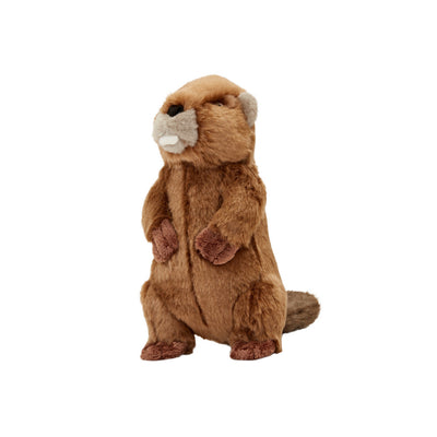 Troy Beaver Plush Toy