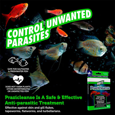 ParaCleanse Parasitic Disease Treatment