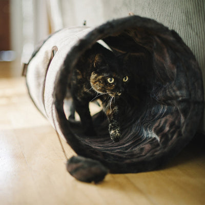 Purr & Pounce Cat Tunnel Espresso