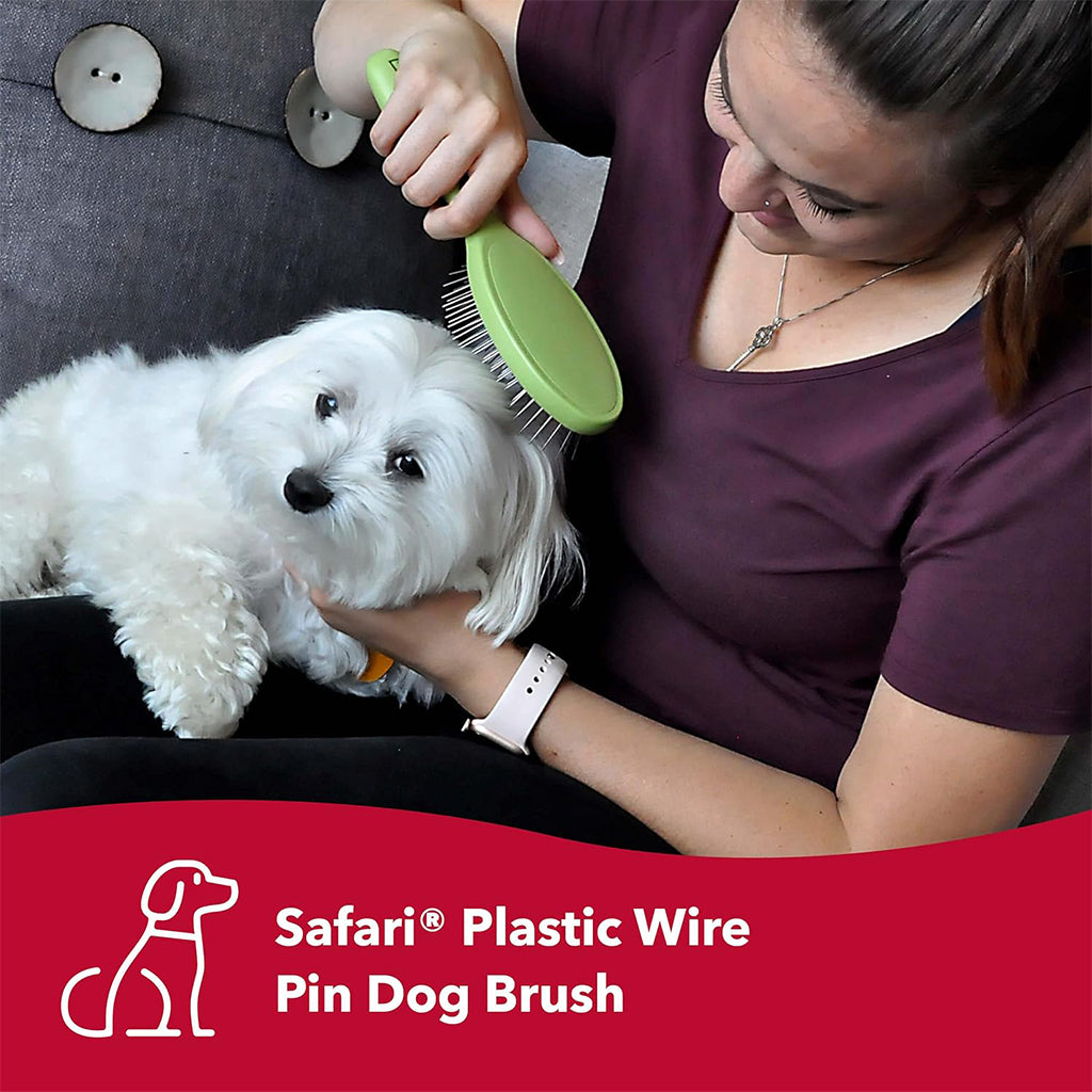 Small Wire Pin Brush for Dogs