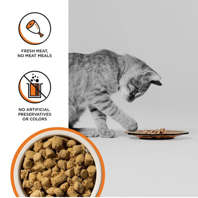 Rawbble Freeze-Dried Chicken Recipe for Cats