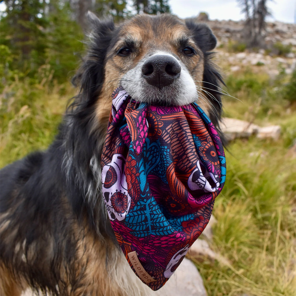 Calavera Bandana