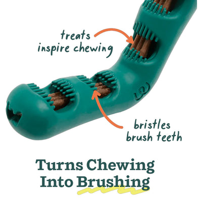 Bite N' Brush