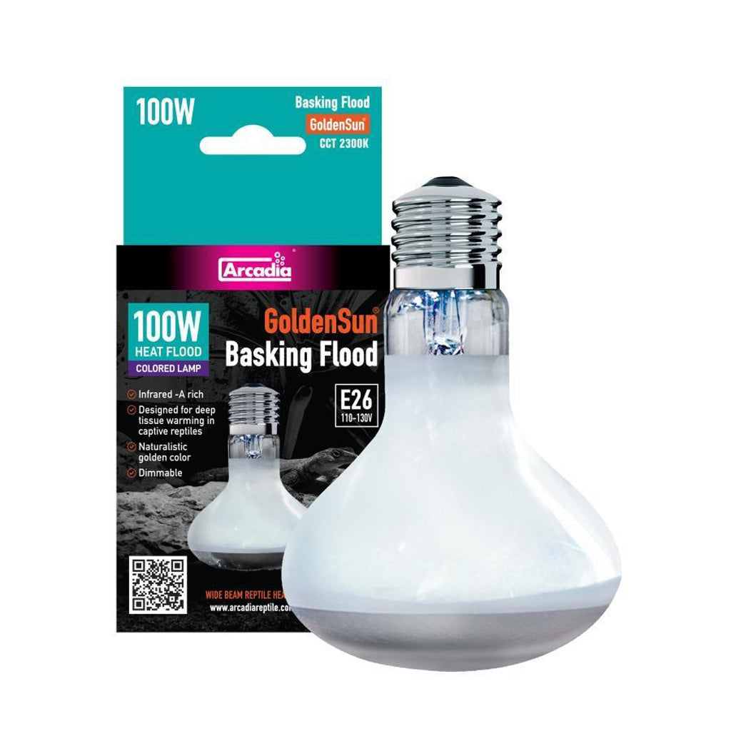 Basking Flood Bulb