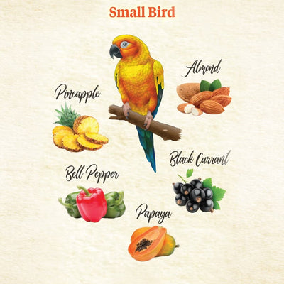 Food from the Wild Natural Snack for Small Birds 3oz