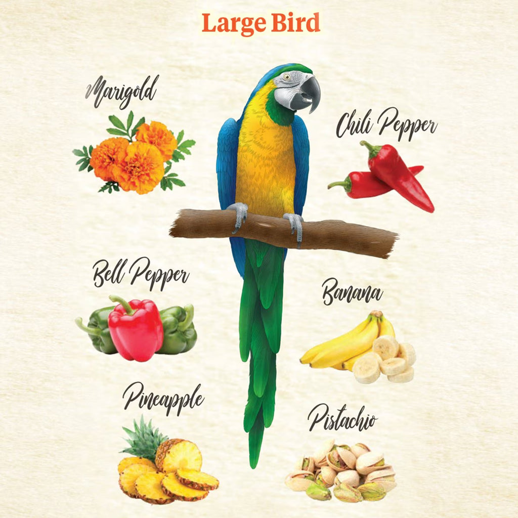 Food from the Wild Natural Snack for Large Birds 3oz