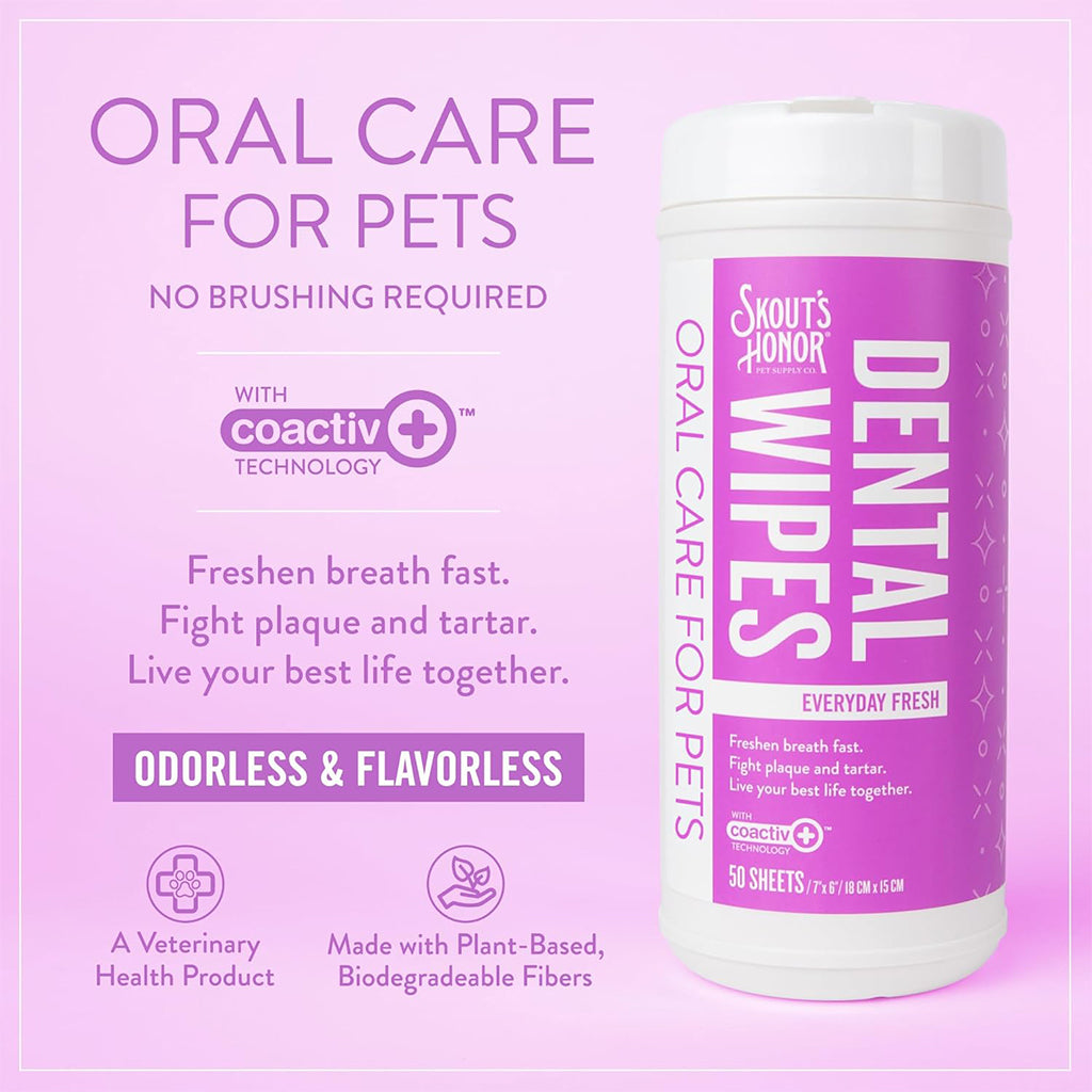 Oral Care - Dental Wipes