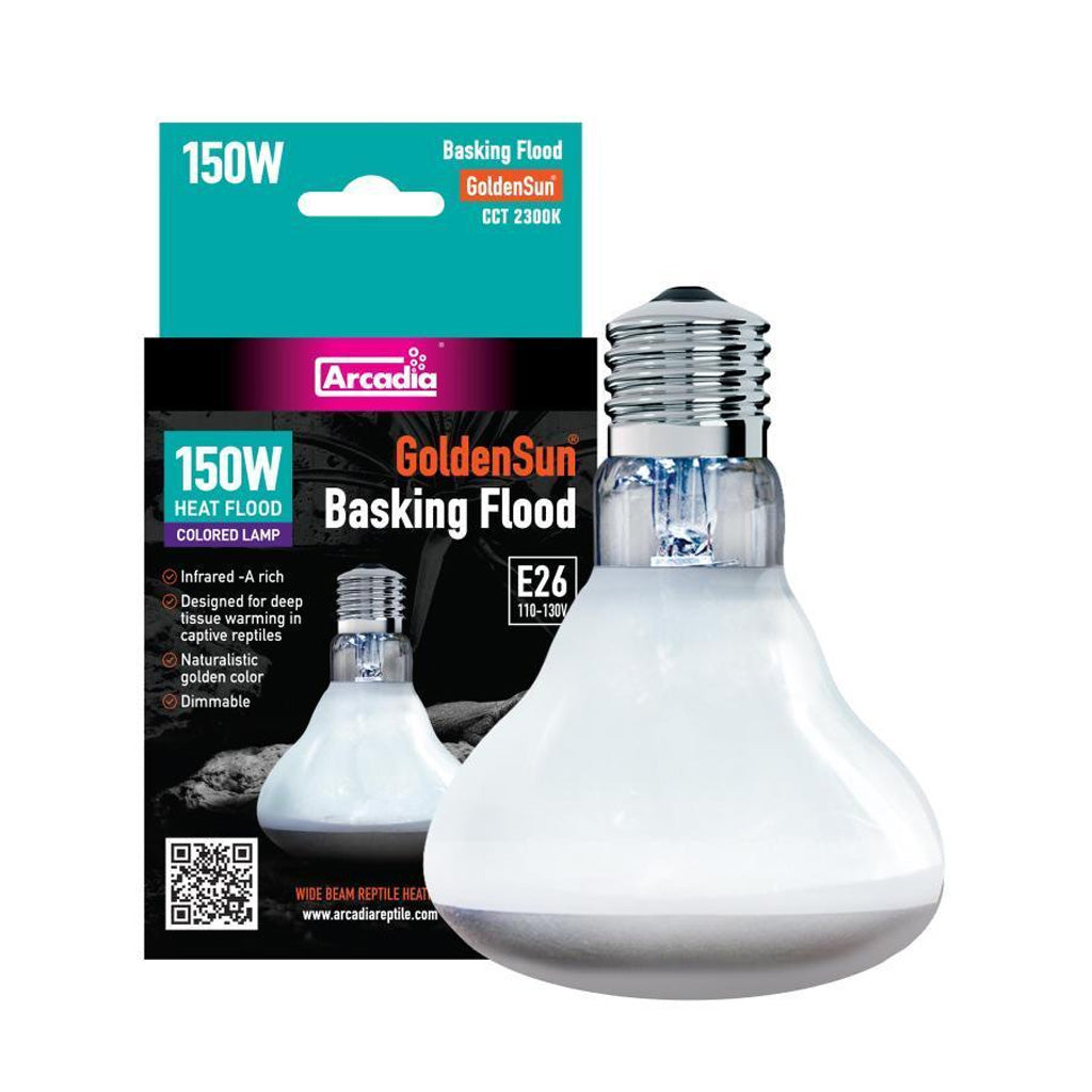 Basking Flood Bulb