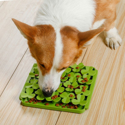 Foraging Mat for Dogs