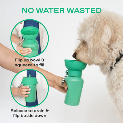 Travel Bottle Flip Silicone 20oz