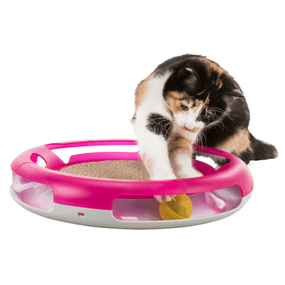 Race & Scratch Cat Activity Game