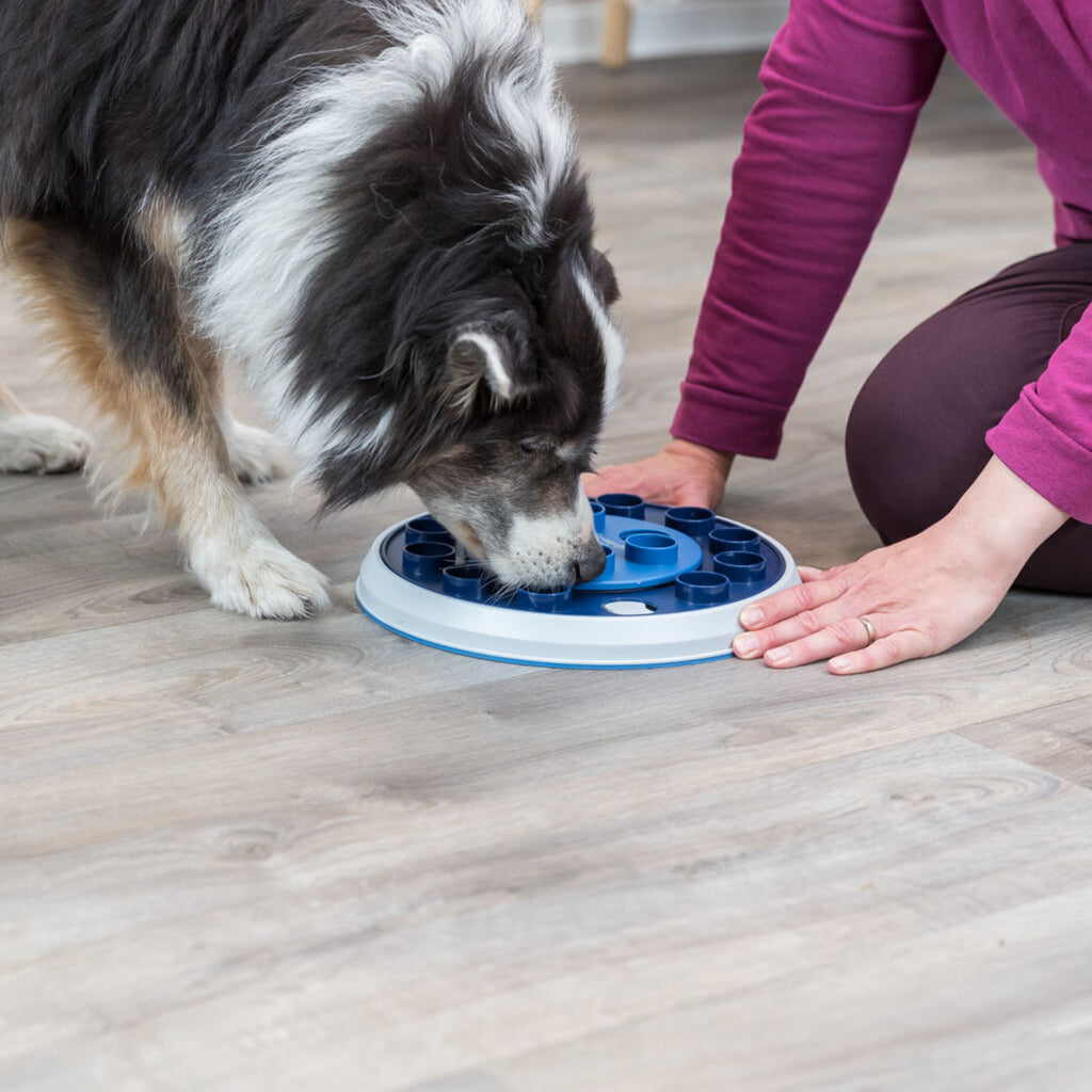 Twister Dog Activity Game