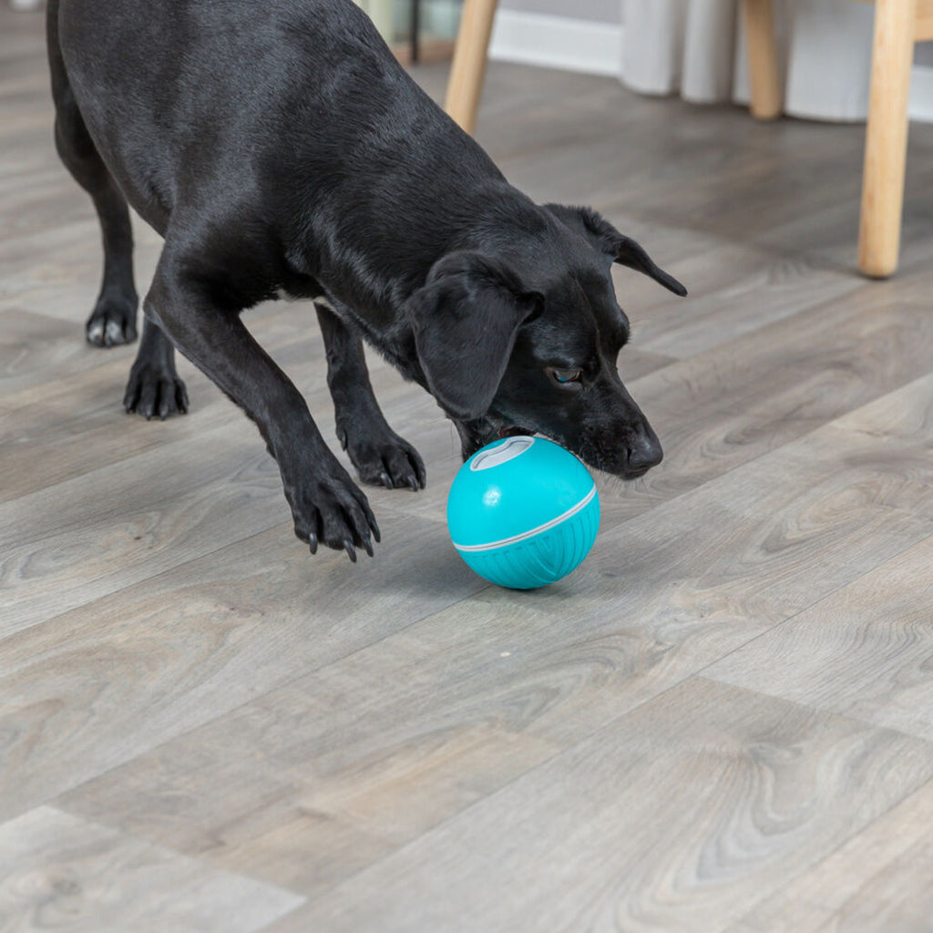 Treat Tumbler Snack Ball