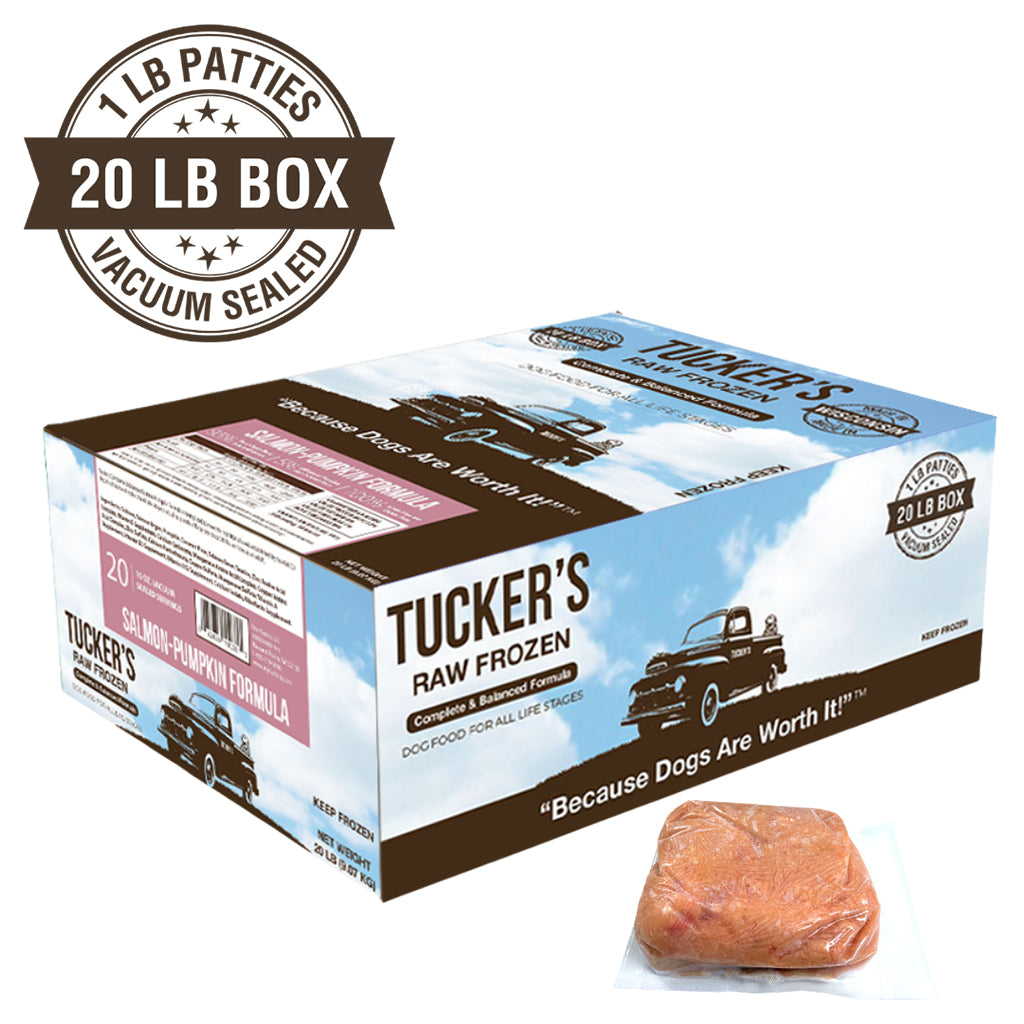 Tucker's Raw Frozen Salmon Pumpkin Bulk Box 20lb