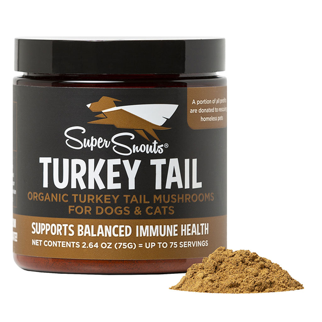 Organic Turkey Tail Mushrooms 2.64oz
