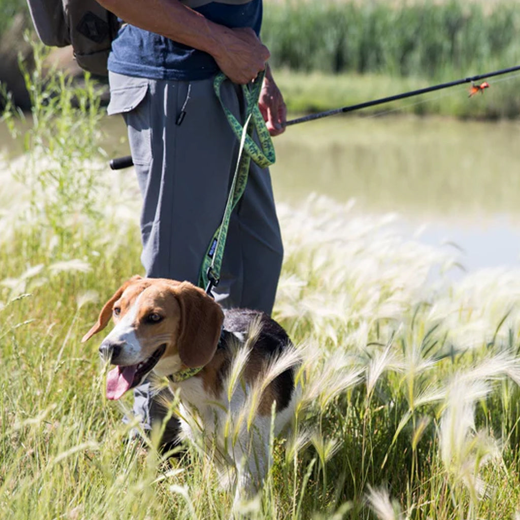 BaitCaster Dog Leash